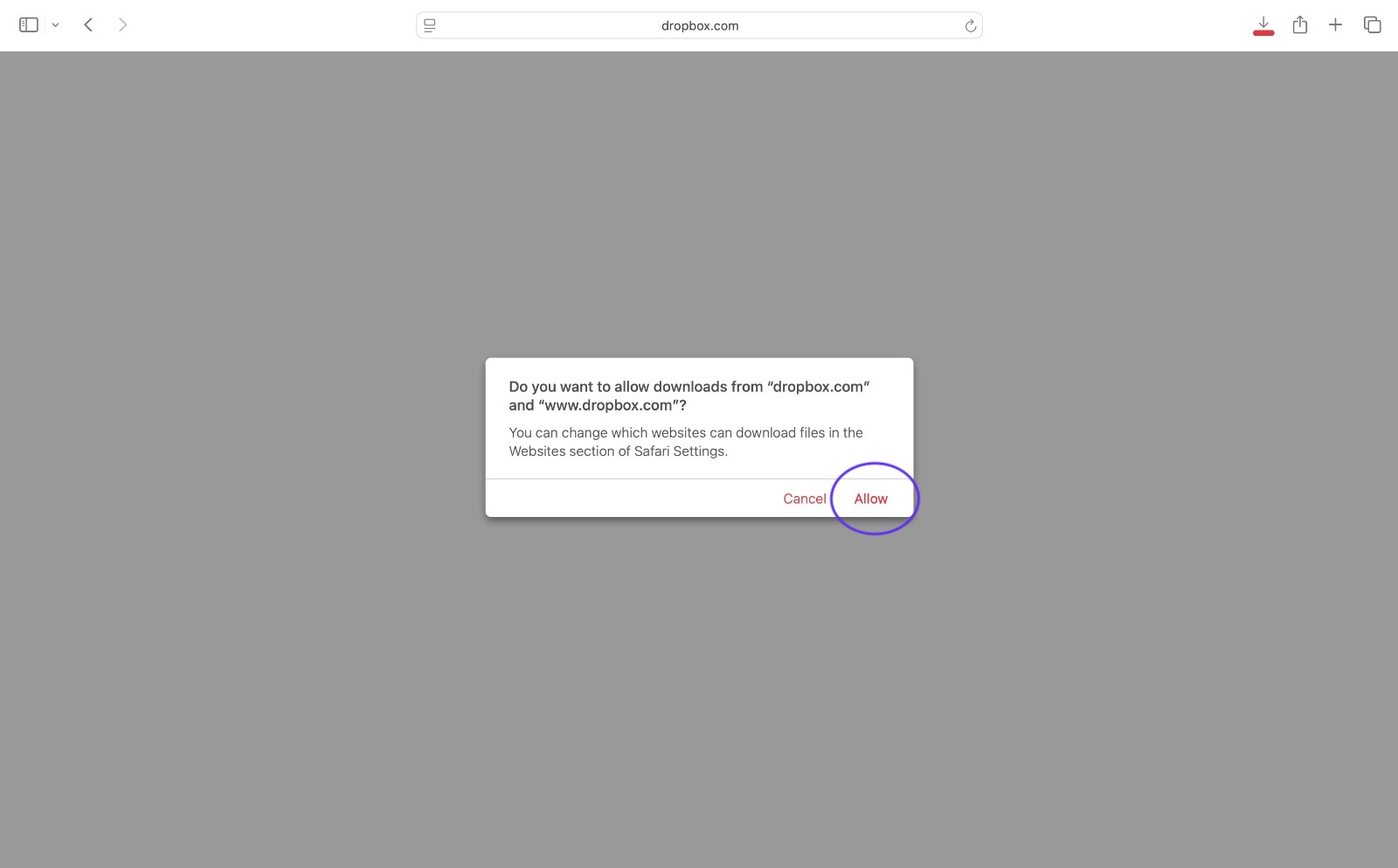 Step 1 — Allow Dropbox downloads